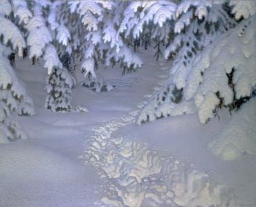 Artwork Title: Silence – Winter