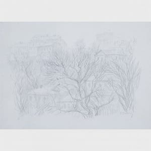 Artwork Title: Town Houses Through Trees