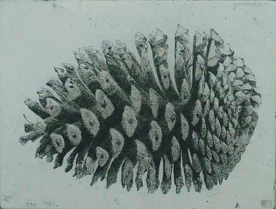 Artwork Title: Pinecone V (Dennenappel V)