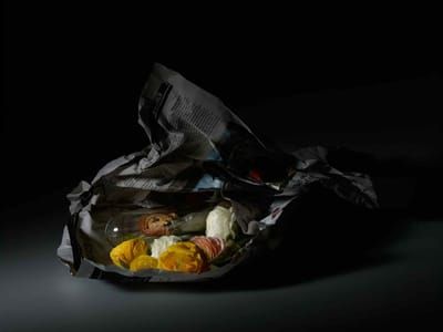 Artwork Title: Still Life with Bumblebee