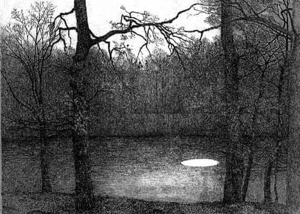 Artwork Title: De futen komen terug, de iepen bloeien (The Grebes Return, The Elms Bloom)