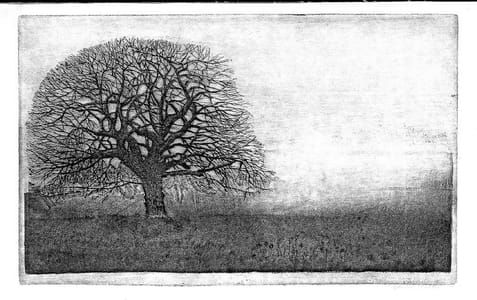 Artwork Title: Tamme Kastanje (Horse Chestnut)