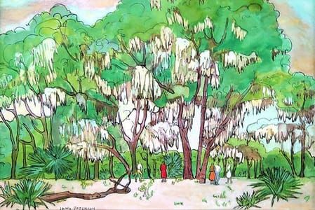 Artwork Title: Central Florida Scene