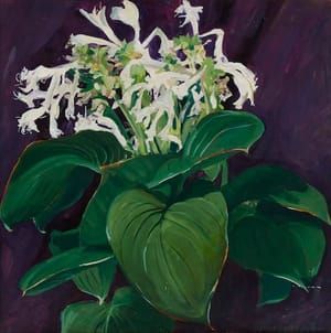Artwork Title: White Hosta