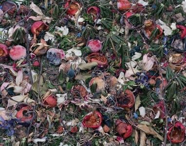 Artwork Title: Fallen N° 439