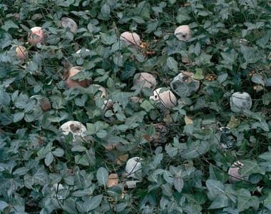 Artwork Title: Fallen N° 152
