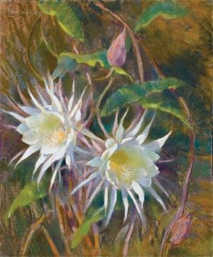 Artwork Title: Night Blooming Cereus