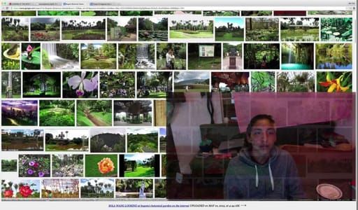Artwork Title: Looking At The Internet (Sola Wang)