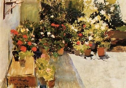 Artwork Title: Rofftop With Flowers