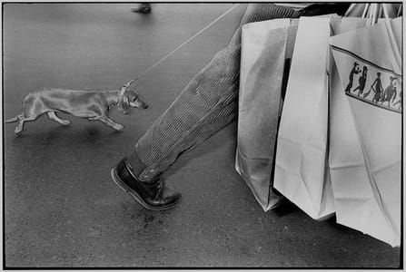 Artwork Title: Untitled