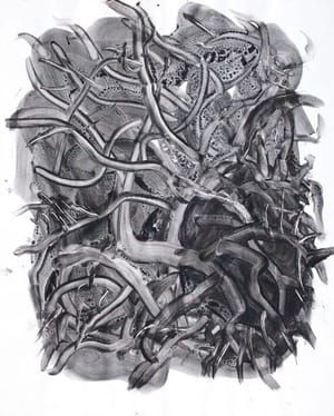 Artwork Title: Entanglement