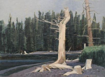 Artwork Title: Dead Shore Trees