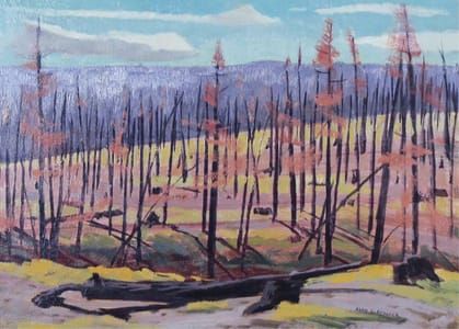 Artwork Title: The Chilcotin Burn
