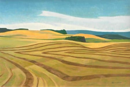 Artwork Title: Canola Swathing, Near Lloydminister, AB