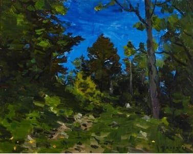 Artwork Title: Mid Summer in the Laurentians