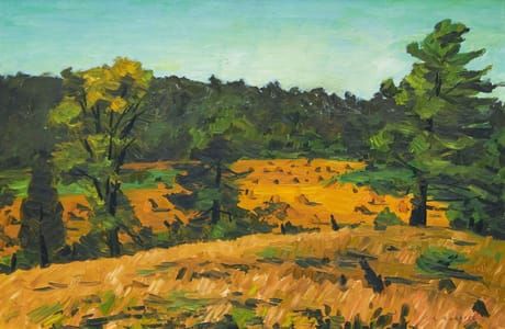Artwork Title: Oat Field in the Sun