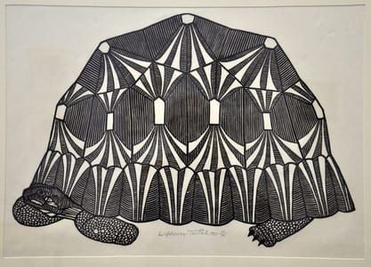 Artwork Title: Turtle II