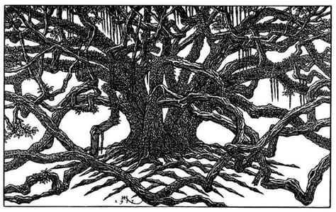 Artwork Title: Lousiana Champion Live Oak
