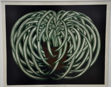 Artwork Title: Spider Plant