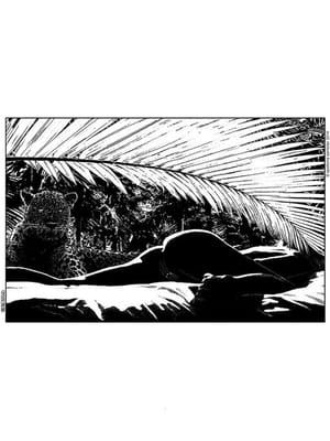 Artwork Title: La Féline