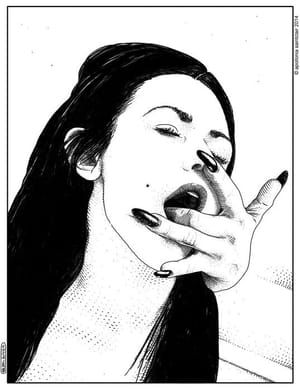 Artwork Title: L'appropriation