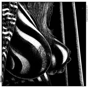 Artwork Title: Les Ombres Fauves