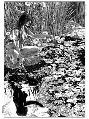 Artwork Title: La Dame Du Lac