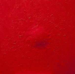 Artwork Title: Sem título (untitled)