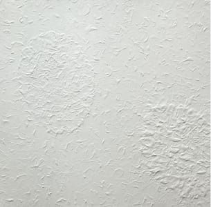 Artwork Title: Untitled