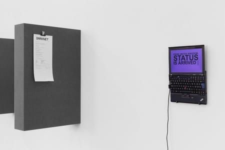 Artwork Title: Random Darknet Shopper