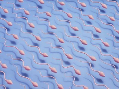 Artwork Title: Repetition - Sperm