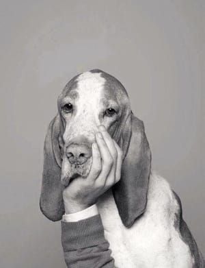 Artwork Title: Dog Hand