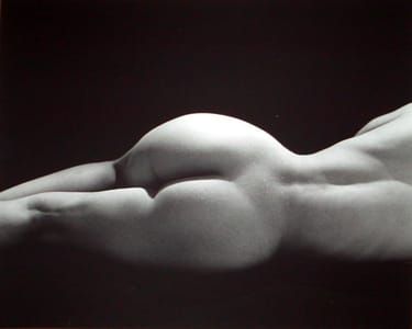 Artwork Title: Untitled Composition (59-2)  1999