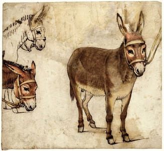 Artwork Title: Persevering. Waiting for another day to come. Sketches of donkeys