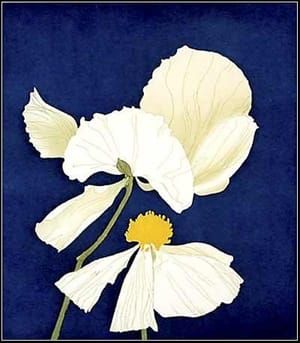 Artwork Title: Matilija Poppy 1976,