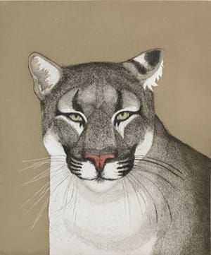 Artwork Title: Maharani
