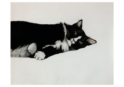 Artwork Title: Untitled