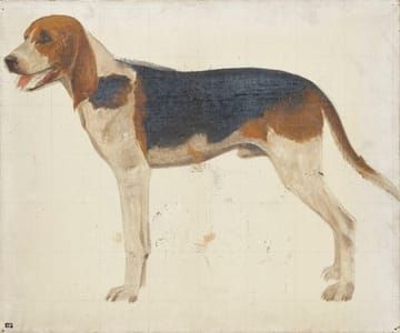 Artwork Title: Jupiter the Dog