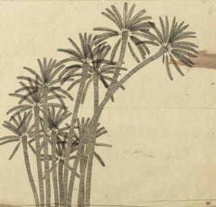 Artwork Title: Study of Palm Trees
