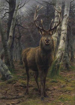 Artwork Title: Roi de la forêt