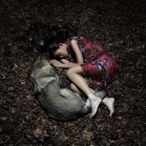 Artwork Title: Union (Woodland series)