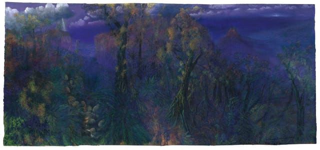 Artwork Title: Evening Light, Springbrook'