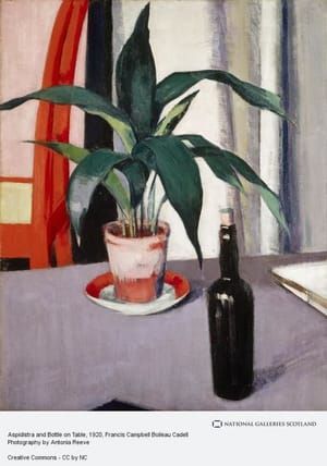 Artwork Title: Aspidistra and Bottle on Table