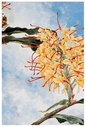 Artwork Title: Ginger Flower