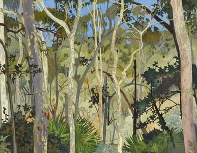 Artwork Title: Eucalyptus