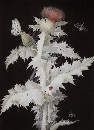Artwork Title: A Thistle Branch with a Butterfly, Dragonfly, Ladybird and Spider