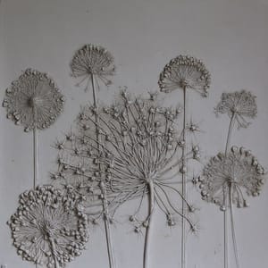 Artwork Title: Alliums