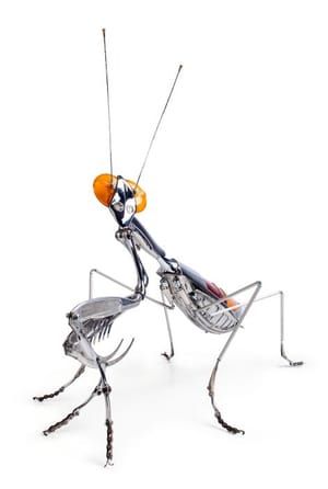 Artwork Title: Praying Mantis
