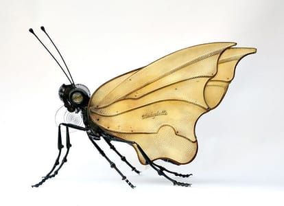 Artwork Title: Butterfly