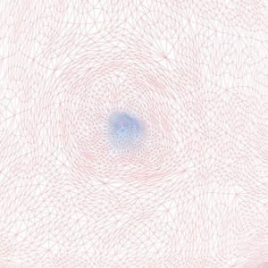 Artwork Title: Belly button